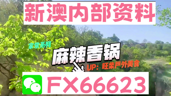 新澳精準資料免費提供，探索與實踐的指南，新澳精準資料免費分享，探索與實踐的導航指南