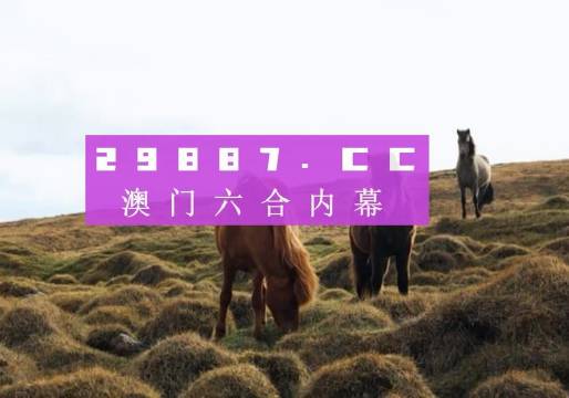澳門開獎(jiǎng)最快開獎(jiǎng)記錄大全，揭秘彩票背后的秘密，澳門彩票開獎(jiǎng)記錄揭秘，探索彩票背后的秘密