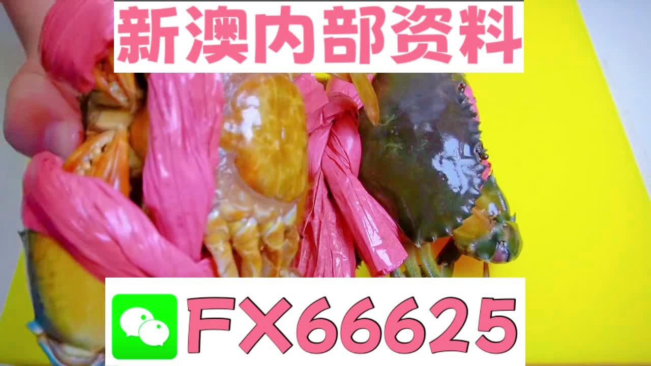 2025新澳精準(zhǔn)資料大全——一站式獲取所有你需要的信息，2025新澳精準(zhǔn)資料大全，一站式獲取所有所需信息
