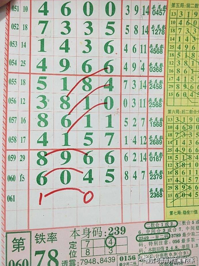 揭秘999842四肖八碼的秘密，探索背后的奧秘與真相，揭秘四肖八碼背后的秘密與真相，探索數(shù)字組合背后的奧秘