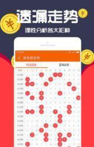 王中王一肖中碼，深度解析與SEO優(yōu)化策略，王中王一肖中碼深度解析與SEO策略優(yōu)化探討