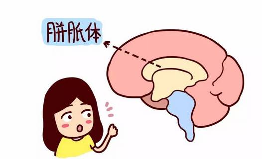 智力低與開(kāi)竅晚的區(qū)別，理解差異與發(fā)掘潛力的關(guān)鍵，智力低與開(kāi)竅晚，差異理解及潛力發(fā)掘的關(guān)鍵所在