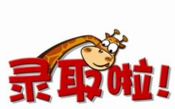 王中王209期指一生肖，深度解讀與SEO優(yōu)化策略，王中王209期生肖深度解讀與SEO優(yōu)化策略全解析