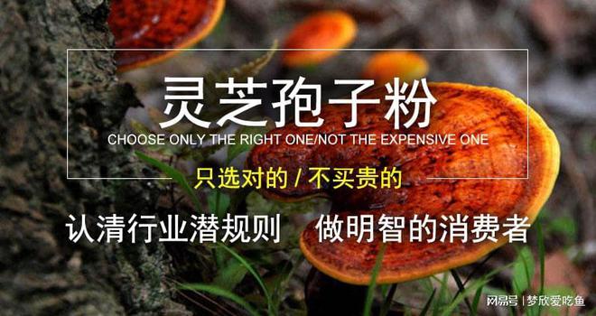 四類人不宜食用靈芝孢子粉——深入了解靈芝孢子粉的適用人群，靈芝孢子粉適用人群需謹(jǐn)慎，四類人不宜食用