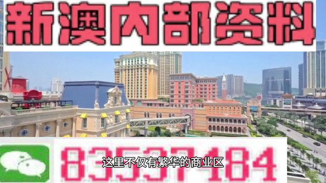 新澳新澳門正版資料，探索與解析，新澳新澳門正版資料深度解析與探索