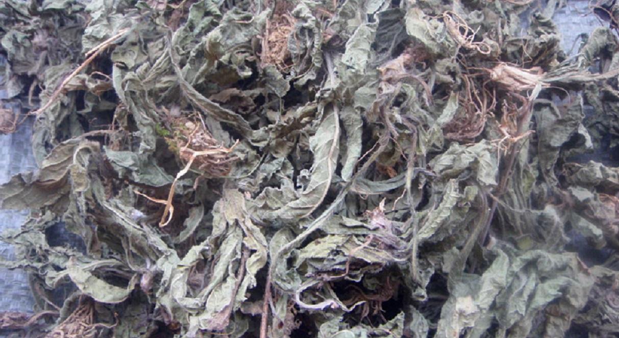 咽喉炎吃什么藥最有效，全面解析與指導(dǎo)，咽喉炎最有效的藥物治療，全面解析與指導(dǎo)