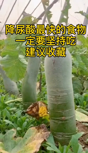 chenyibo 第9頁