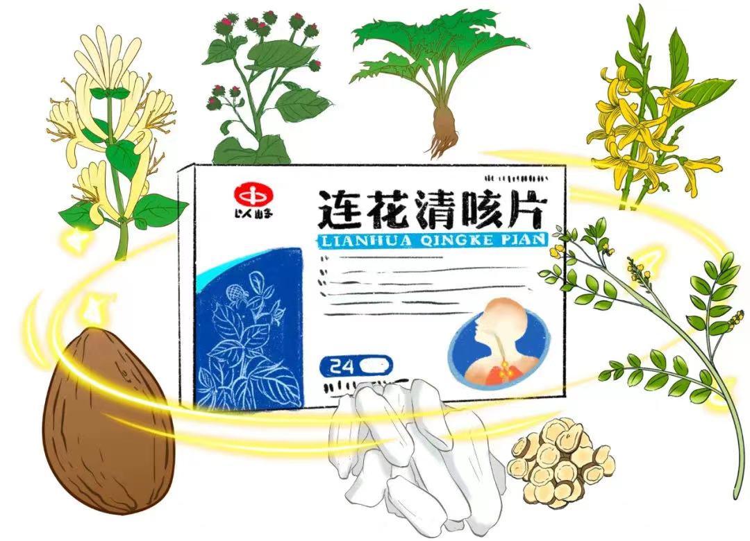 牛蒡子的功效與作用，深入了解藥用價值，牛蒡子的藥用價值，功效與作用詳解