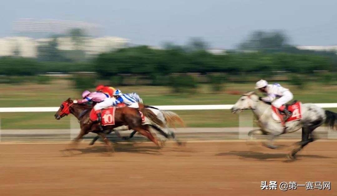 澳門周六賽馬開獎結(jié)果，激情與期待的交匯點，澳門周六賽馬開獎結(jié)果，激情與期待的巔峰時刻