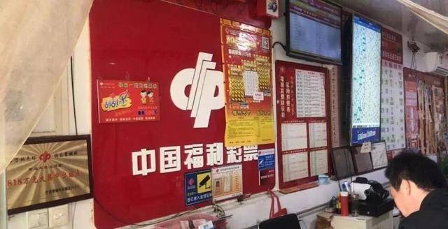 王中王資枓一肖中特，深度解析與SEO優(yōu)化策略，王中王資枓一肖中特深度解析與SEO優(yōu)化策略探討
