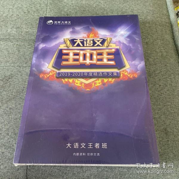 揭秘2019王中王資料，一肖中的秘密與v之奧秘，揭秘王中王資料與一肖中的秘密，探尋V之奧秘的真相（獨家揭秘）