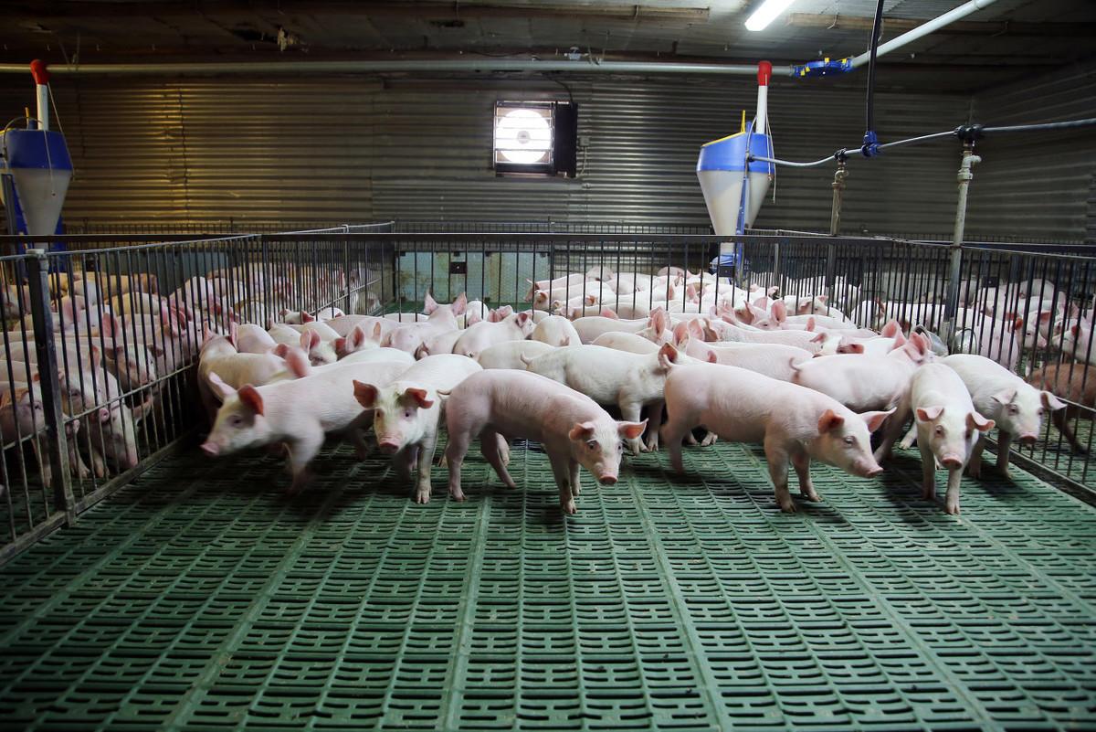 探索未來，2025年新澳版資料正版圖庫，探索未來，2025年新澳版正版圖庫揭秘