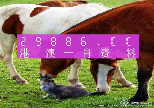 新奧門(mén)一肖一碼，揭秘精準(zhǔn)預(yù)測(cè)的秘密，揭秘新澳門(mén)一肖一碼精準(zhǔn)預(yù)測(cè)的秘密