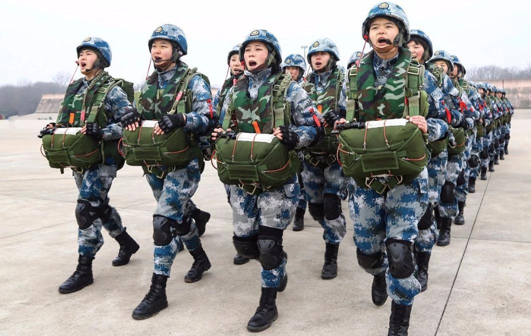 中國(guó)武警部隊(duì)兵力概況解析，中國(guó)武警部隊(duì)兵力概況深度解析