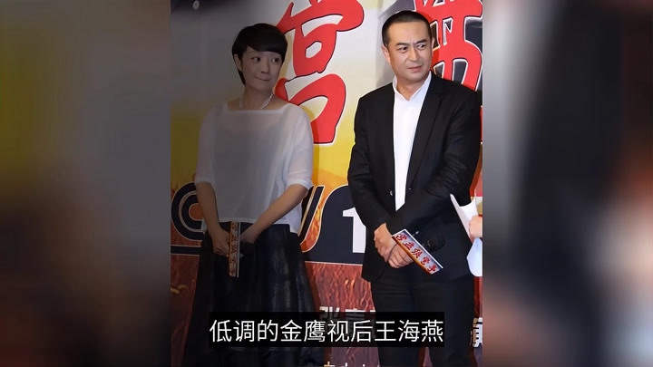 王海燕圖片及個(gè)人資料，探索一位引人注目的公眾人物，王海燕，探索公眾人物的魅力與生平揭秘