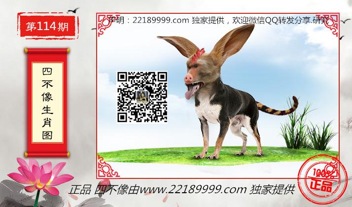 王中王四不象一肖平特圖，解析與探索，王中王四不象一肖平特圖深度解析與探索