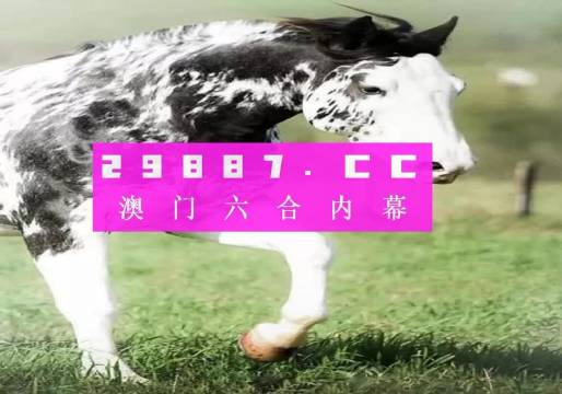 王中王三肖一碼資料，深度解析與SEO優(yōu)化，王中王三肖一碼資料深度解析與SEO優(yōu)化技巧