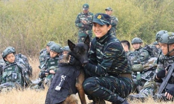 我是特種兵之霹靂火演員表