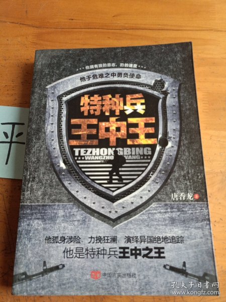 王中王資料一肖中特管系，深度解析與SEO優(yōu)化策略，王中王資料一肖中特管系，深度解析與SEO優(yōu)化策略全攻略