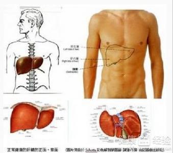 肝炎患者的一般壽命分析，了解肝炎對(duì)生命的影響及生存期預(yù)測(cè)，肝炎患者壽命分析，影響、預(yù)測(cè)與生存期探討