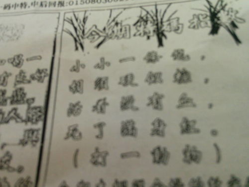 揭秘劉伯溫平特一肖公式——探尋古老的智慧與SEO奧秘，劉伯溫平特一肖公式揭秘，古老智慧與SEO奧秘探尋之旅