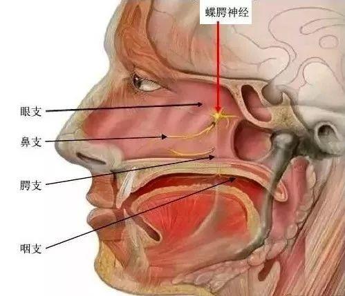 夢想之翼 第10頁