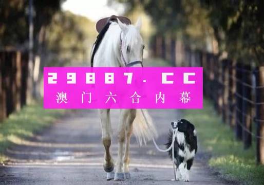 新澳門(mén)特資料49圖庫(kù)今晚——探索澳門(mén)魅力的無(wú)盡源泉，探索澳門(mén)魅力，新澳門(mén)特資料49圖庫(kù)今晚獨(dú)家呈現(xiàn)
