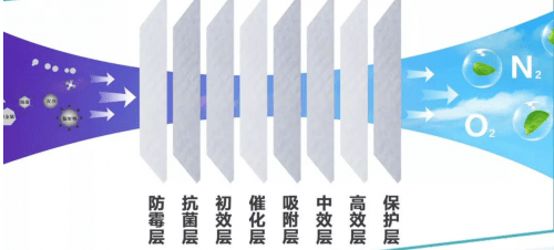 一肖三碼絕密——王中王的秘密解讀，一肖三碼絕密解讀，揭秘王中王的秘密