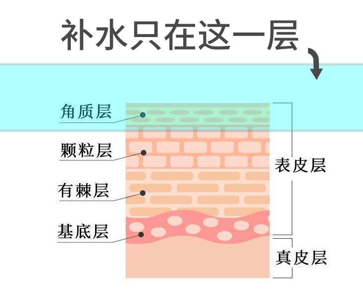 臉嚴(yán)重缺水用什么補(bǔ)水最有效，臉部嚴(yán)重缺水如何高效補(bǔ)水？