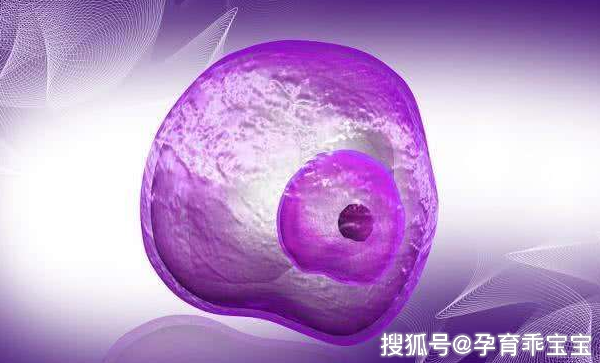關(guān)于一般精子進(jìn)入體內(nèi)后多久會(huì)懷孕的研究與探討，精子進(jìn)入體內(nèi)后懷孕的時(shí)間探討與研究