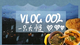 揭秘王中王009期指一生肖的神秘面紗，揭秘王中王009期生肖神秘面紗揭曉