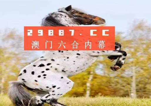白小姐三碼三期必出一期嗎？——揭秘真相，洞悉背后秘密，揭秘白小姐三碼三期，真相與背后秘密探究