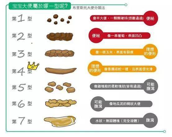 新手爸媽必看，十種寶寶大便分辨圖及其解讀，新手爸媽指南，寶寶大便類型圖及解讀指南