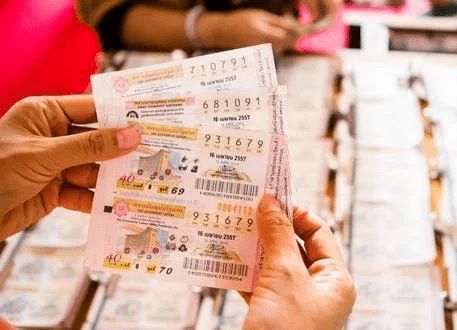 香港王中王平特一肖，揭秘背后的故事與傳奇，揭秘香港王中王平特一肖背后的傳奇故事