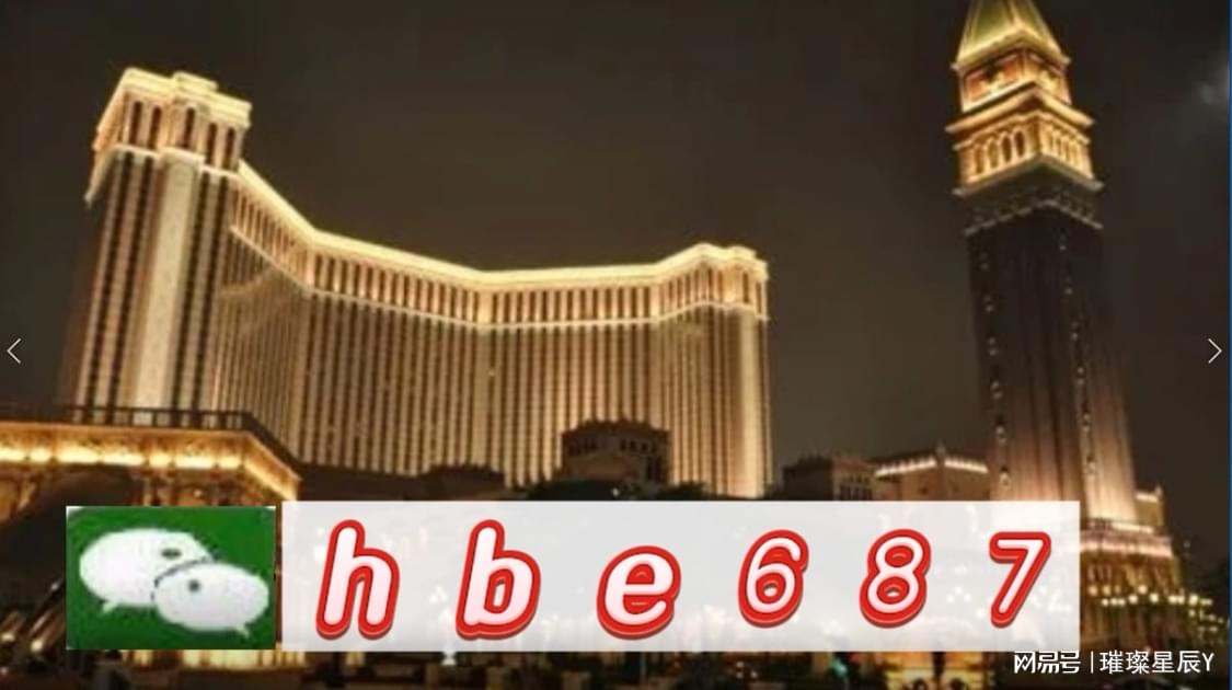 2025年澳門資料大全正版——全面解析澳門未來(lái)展望，澳門未來(lái)展望，2025年資料大全正版解析