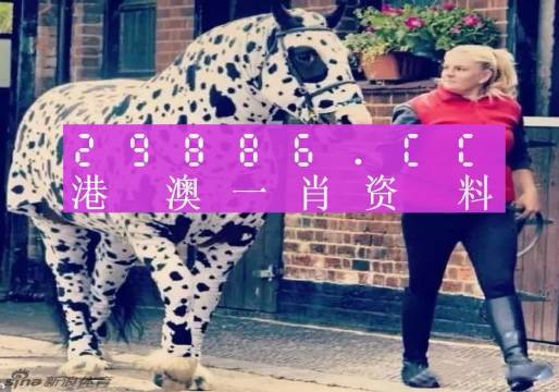 澳彩平肖王中王，一笑一碼的秘密與SEO優(yōu)化策略，澳彩平肖王中王，揭秘一笑一碼背后的SEO優(yōu)化策略