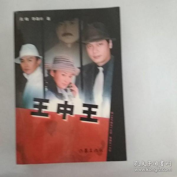 王中王資料與一肖資料圖，深度解析與探索，王中王與一肖資料深度解析與探索圖鑒