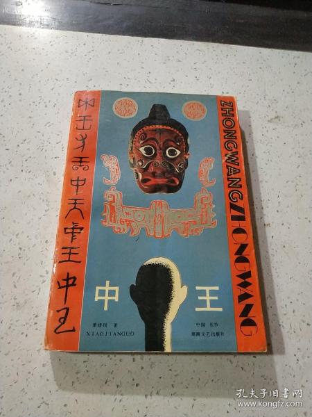 王中王資料一門肖中，深度解析與探索，王中王資料一門肖詳解，深度解析與探索