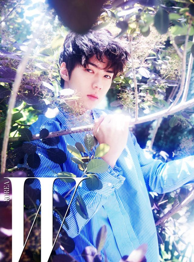 韓國十大美男明星排名——璀璨星光閃耀亞洲娛樂圈，韓國十大美男明星璀璨閃耀亞洲娛樂圈排行榜