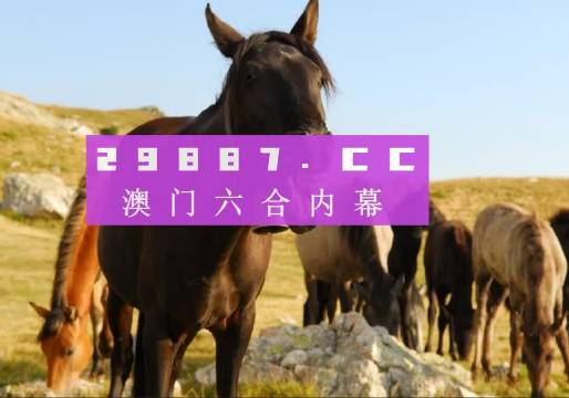 susihan 第7頁