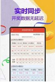澳門王中王計(jì)劃平特一肖，揭秘與探索，澳門王中王計(jì)劃揭秘，平特一肖的秘密探索