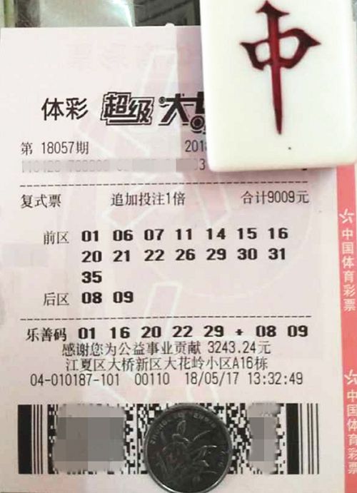 澳門六開彩天天開獎結果查詢，輕松掌握最新開獎動態(tài)，澳門六開彩最新開獎結果查詢，輕松掌握每日開獎動態(tài)