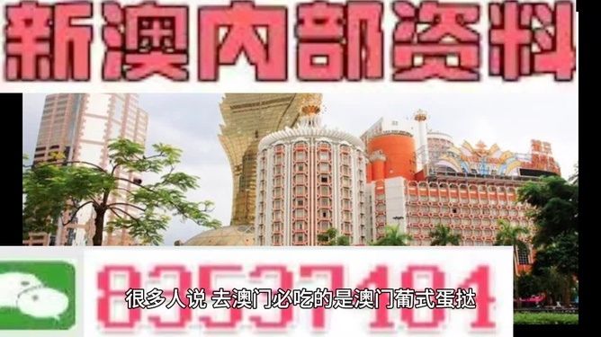 澳門精準正版資料大全，探索與揭秘，澳門正版資料大全，揭秘與探索之旅
