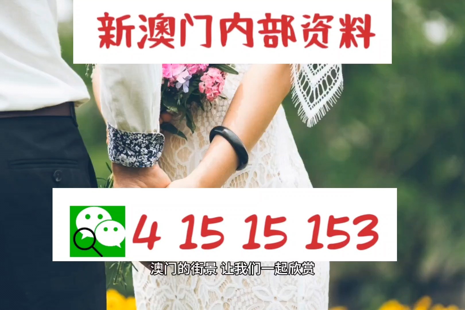 新澳門最快開獎網(wǎng)站查詢，全面解析與實用指南，澳門最新開獎網(wǎng)站查詢解析與實用指南