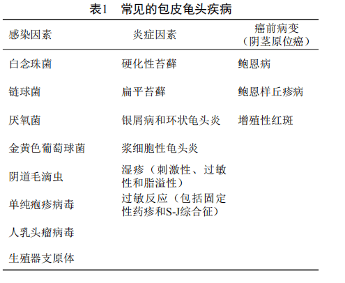 龜頭炎的四種類型圖片及其相關(guān)信息介紹，龜頭炎的四種類型詳解，圖片與相關(guān)信息指南