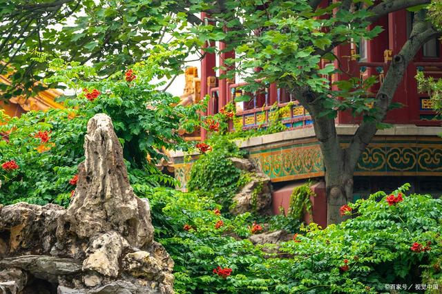 皇上御花園hlh，歷史、特色與SEO優(yōu)化，皇上御花園hlh，歷史底蘊、獨特特色與SEO優(yōu)化全解析