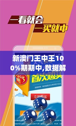 王中王中一肖嗎，深度解析與探索，王中王中一肖揭秘，深度解析與探索