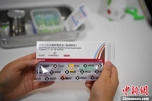 香港王中王與肖中待期準(zhǔn)，深度解讀與SEO洞察，香港王中王與肖中待期準(zhǔn)的深度解讀與SEO洞察分析