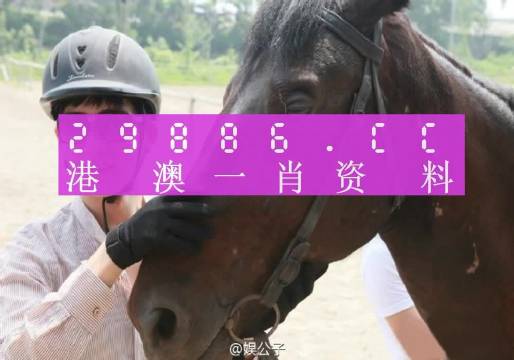 澳門一肖一碼一必中一肖，同舟前進的奧秘與策略，澳門一肖一碼必中策略與前進奧秘，同舟共濟的揭秘與策略