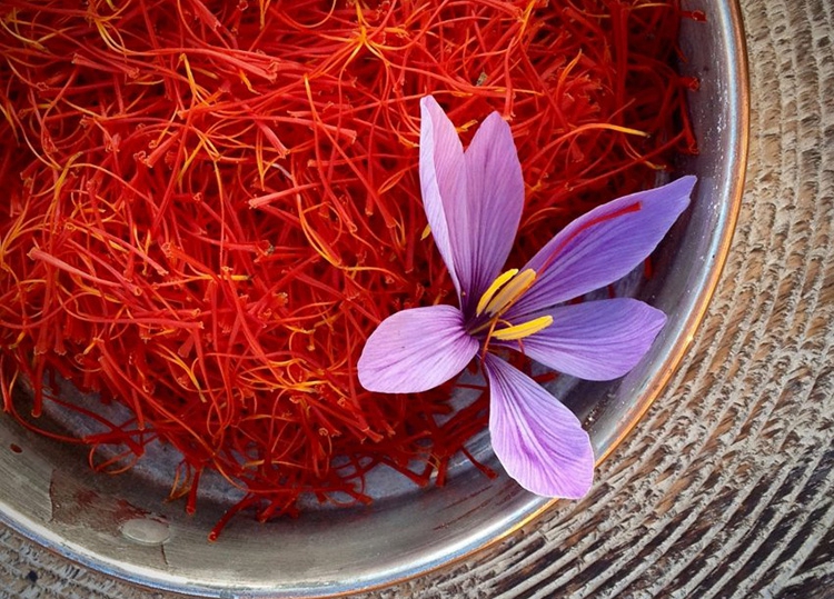 藏紅花的神奇功效，揭示其多重健康益處，藏紅花的神奇功效，多重健康益處揭秘